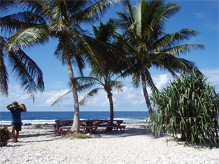 星砂などが漂着してできた砂浜